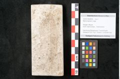 Foto (Objekt + Etikett) von Myrica lignitum Unger (NHMW-GEO-2024-0188-8095)